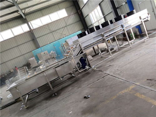 諸城源晟機(jī)械 專業(yè)桔子清洗機(jī)生產(chǎn)廠家